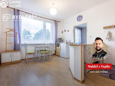 Prodej bytu 1+1 Krupka, Karla Čapka 244 č. 1