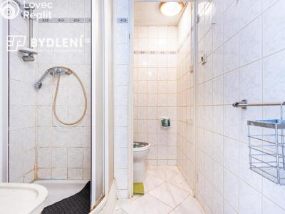 Prodej bytu 1+1 Krupka, Karla Čapka 244 č. 13