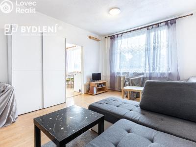 Prodej bytu 1+1 Krupka, Karla Čapka 244 č. 15