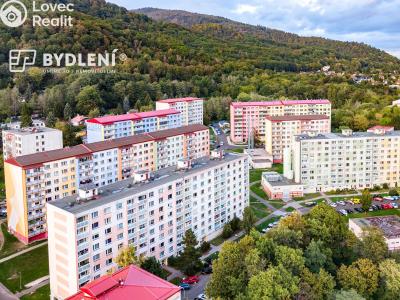 Prodej bytu 1+1 Krupka, Karla Čapka 244 č. 17