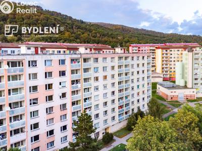 Prodej bytu 1+1 Krupka, Karla Čapka 244 č. 18