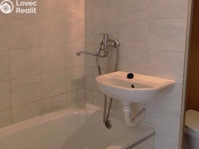 Pronájem bytu 1+1 Cerekvice nad Bystřicí č. 4