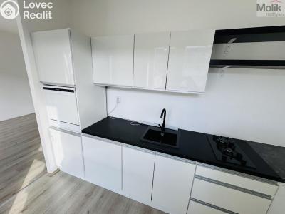 Pronájem bytu 1+1 Litvínov, Ruská 887 č. 1