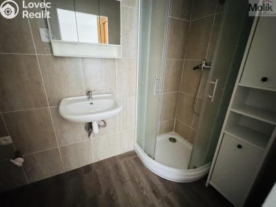 Pronájem bytu 1+1 Litvínov, Ruská 887 č. 9