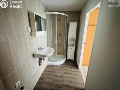 Pronájem bytu 1+1 Litvínov, Ruská 887 č. 10