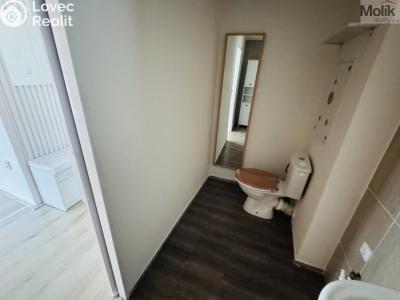 Pronájem bytu 1+1 Litvínov, Ruská 887 č. 11