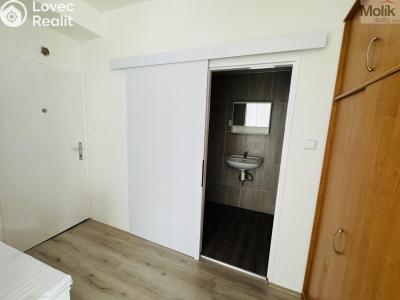 Pronájem bytu 1+1 Litvínov, Ruská 887 č. 12