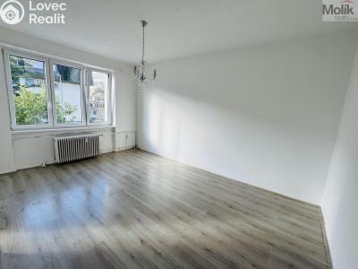 Pronájem bytu 1+1 Litvínov, Ruská 887 č. 13