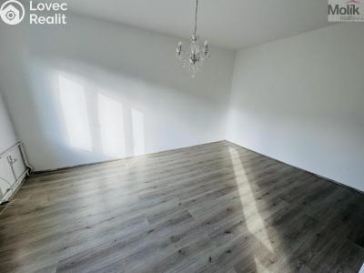 Pronájem bytu 1+1 Litvínov, Ruská 887 č. 14