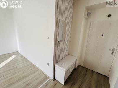 Pronájem bytu 1+1 Litvínov, Ruská 887 č. 15