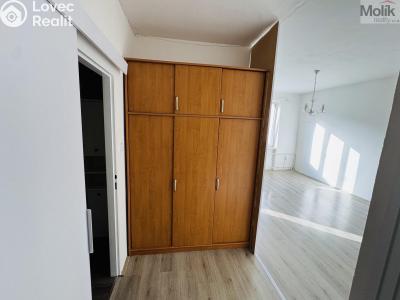 Pronájem bytu 1+1 Litvínov, Ruská 887 č. 16