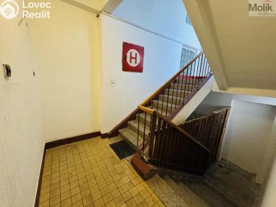 Pronájem bytu 1+1 Litvínov, Ruská 887 č. 18