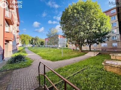 Pronájem bytu 1+1 Litvínov, Ruská 887 č. 19