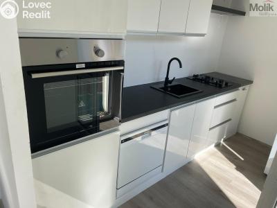 Rent apartment 1+1 Litvínov, Ruská 887 č. 23