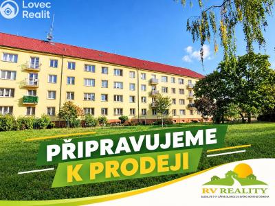 Sale apartment 2+1 Pardubice, Pichlova 2536 č. 3
