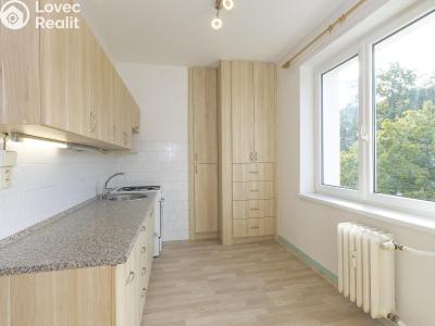 Sale apartment 2+1 Pardubice, Pichlova 2536 č. 11