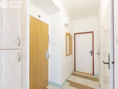 Sale apartment 2+1 Pardubice, Pichlova 2536 č. 6