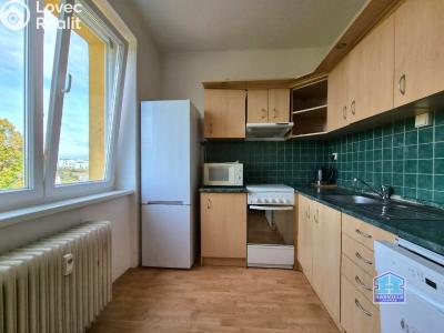 Sale apartment 3+1 Stříbro, Brožíkova 969 č. 7