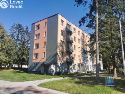 Pronájem bytu 2+1 Stříbro, Brožíkova 971 č. 1