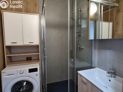 Pronájem bytu 2+1 Stříbro, Brožíkova 971 č. 10