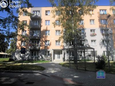 Pronájem bytu 2+1 Stříbro, Brožíkova 971 č. 15