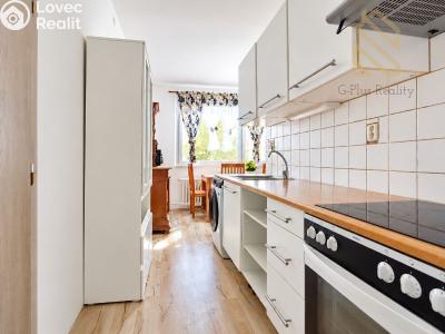 Sale apartment 3+1 Ústí nad Labem, Seifertova 354 č. 5