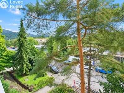 Sale apartment 3+1 Ústí nad Labem, Seifertova 354 č. 13