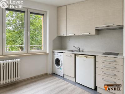 Pronájem bytu 1+KK Havířov, Marušky Kudeříkové č. 1
