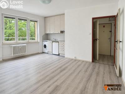 Pronájem bytu 1+KK Havířov, Marušky Kudeříkové č. 3