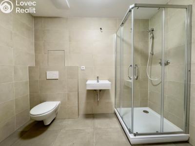 Pronájem bytu 2+KK Dašice č. 8