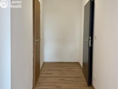Pronájem bytu 2+KK Dašice č. 11