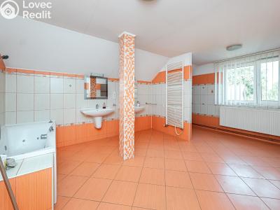 Prodej rodinného domu Mikulovice, Farní 169 č. 21