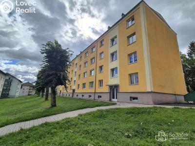 Prodej bytu 1+1 Nová Role, Husova č. 2