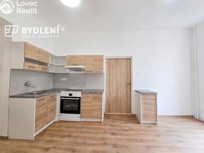 Pronájem bytu 3+KK Teplice, Havlíčkova č. 3