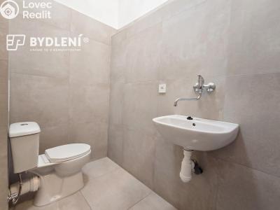 Pronájem bytu 3+KK Teplice, Havlíčkova č. 6