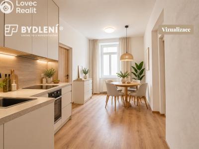 Pronájem bytu 3+KK Teplice, Havlíčkova č. 11
