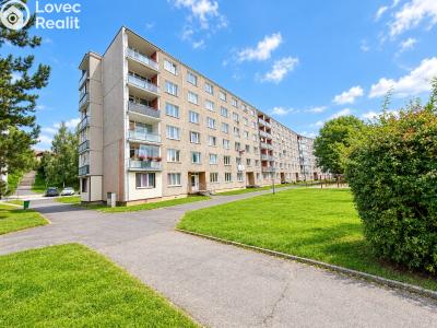 Pronájem bytu 2+1 Tachov, Bělojarská č. 20