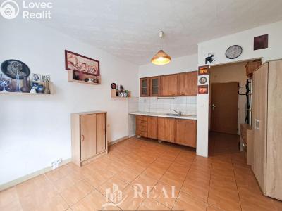 Pronájem bytu 1+KK Chomutov, Kostnická 4071 č. 6