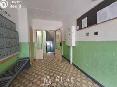 Pronájem bytu 1+KK Chomutov, Kostnická 4071 č. 8