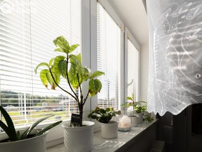 Продажа семейного дома Ostrava, Za Ještěrkou č. 22