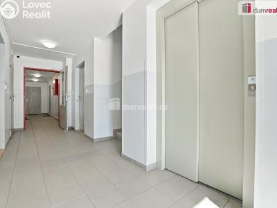 Sale apartment 2+KK Ostrov, Severní č. 12