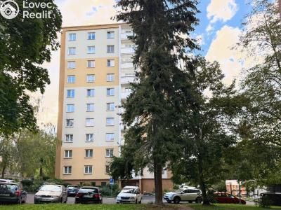 Sale apartment 3+1 Karlovy Vary, Anglická č. 18