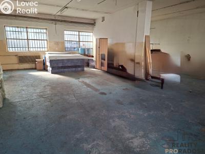 Rent production hall Slaný, Netovická č. 1