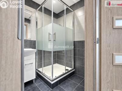 Rent commercial space Neratovice, Kojetická č. 12