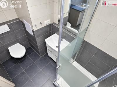 Rent commercial space Neratovice, Kojetická č. 13