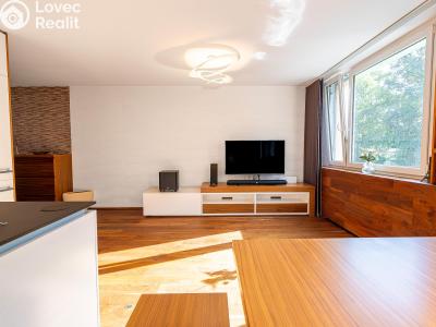 Продаж квартири 3+KK Průhonice, Na Sídlišti III 402 č. 8