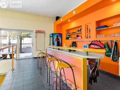 Продаж комерційної нерухомості Karlovy Vary, Truhlářská č. 11