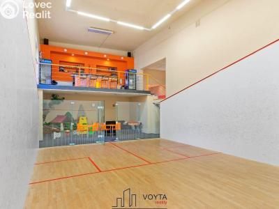 Продаж комерційної нерухомості Karlovy Vary, Truhlářská č. 14