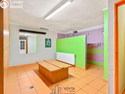 Продаж комерційної нерухомості Karlovy Vary, Truhlářská č. 18