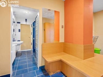 Продаж комерційної нерухомості Karlovy Vary, Truhlářská č. 19